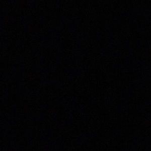 Meet your Posher, Kelsie